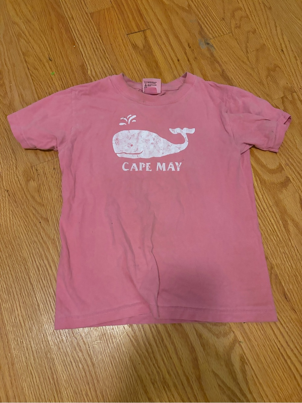 Comfort Colors Pink Cape May Whale Graphic Tee